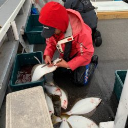 シーランチ 釣果