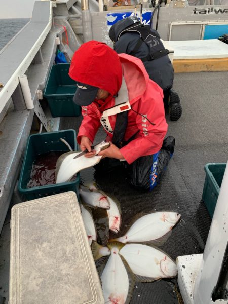 シーランチ 釣果