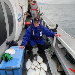 シーランチ 釣果