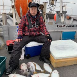 シーランチ 釣果