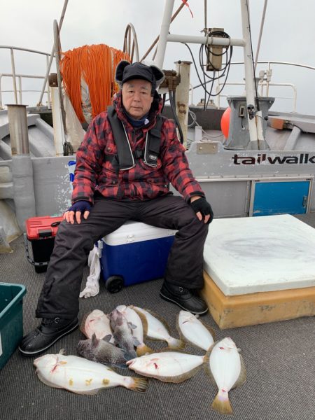 シーランチ 釣果