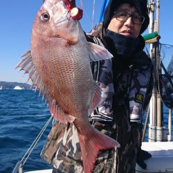 遊漁船 家入 釣果