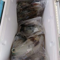 シースナイパー海龍 釣果