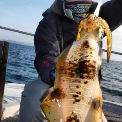 ブルースフィッシングサービス 釣果