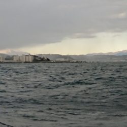 金沢八景鴨下丸 釣果