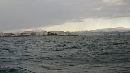 金沢八景鴨下丸 釣果