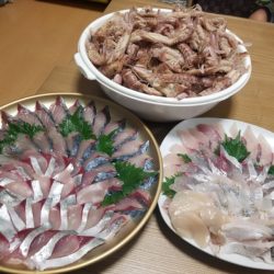 Soyamaru 釣果