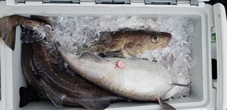 海龍丸（石川） 釣果