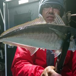 シースナイパー海龍 釣果