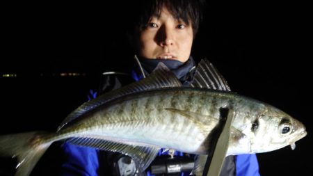 シースナイパー海龍 釣果