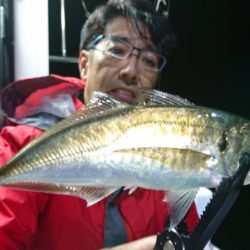 シースナイパー海龍 釣果