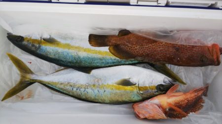 第二龍勢丸 釣果