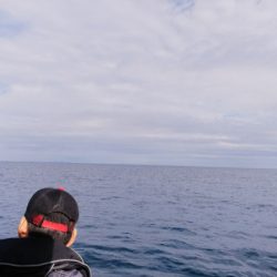 第二龍勢丸 釣果