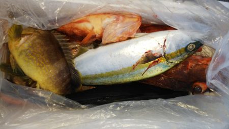 第二龍勢丸 釣果