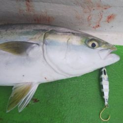 丸万釣船 釣果