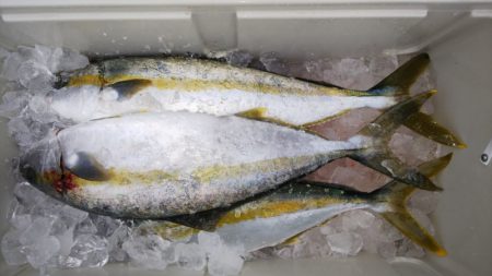 第二龍勢丸 釣果