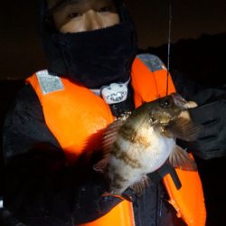 Chase（チェイス） 釣果