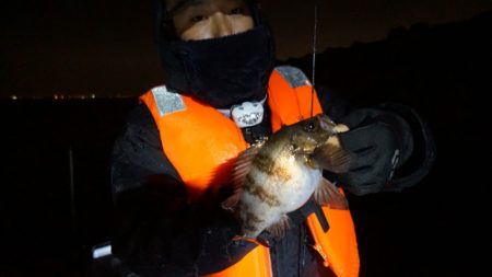 Chase（チェイス） 釣果