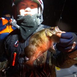 Chase（チェイス） 釣果