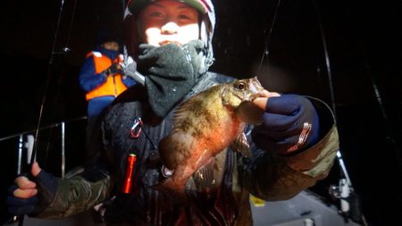 Chase（チェイス） 釣果