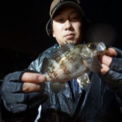 Chase（チェイス） 釣果