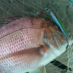 和栄丸 釣果