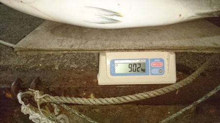 ARCADIAⅡ (アルカディアⅡ) 釣果