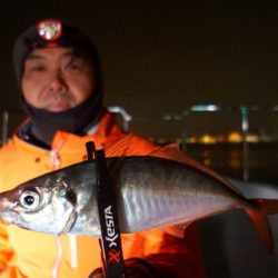 Chase（チェイス） 釣果