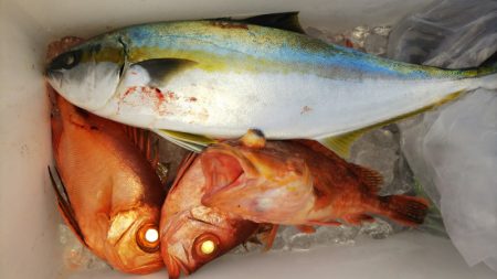 第二龍勢丸 釣果