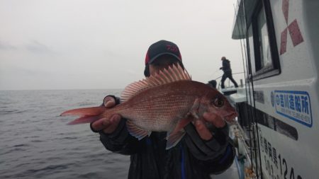 だて丸 釣果