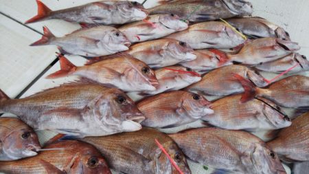 タイラバ遊漁船 ワンピース 釣果