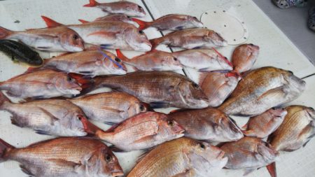 タイラバ遊漁船 ワンピース 釣果