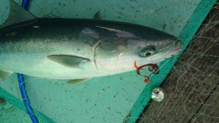 和栄丸 釣果