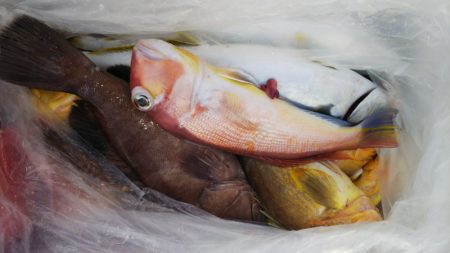 第二龍勢丸 釣果