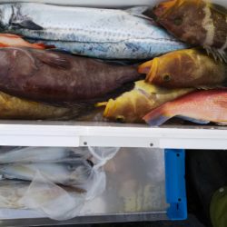 第二龍勢丸 釣果