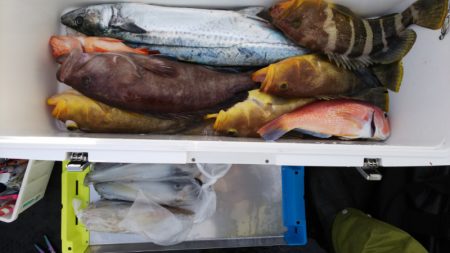 第二龍勢丸 釣果