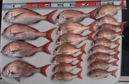 遊漁船　家入 釣果