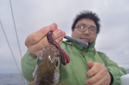 渡船屋たにぐち 釣果