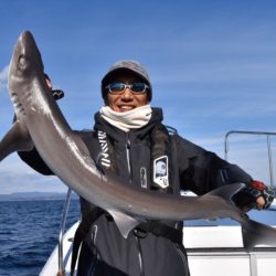 渡船屋たにぐち 釣果