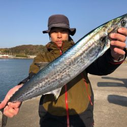 ぽん助丸 釣果