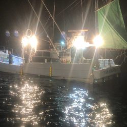 ＴＡＲＯＭＡＲＵ 釣果