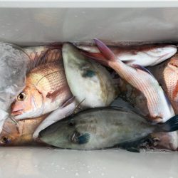 第二八坂丸 釣果