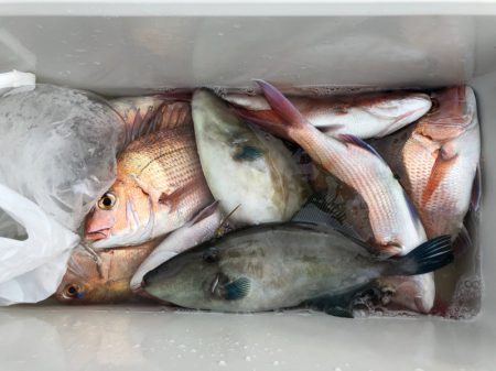 第二八坂丸 釣果