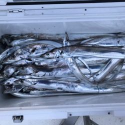 Monster Rush! 釣果