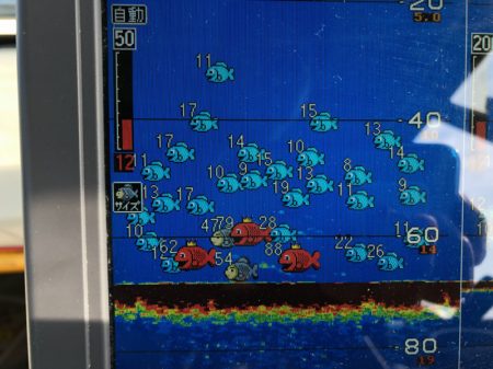 末広丸(熊本) 釣果