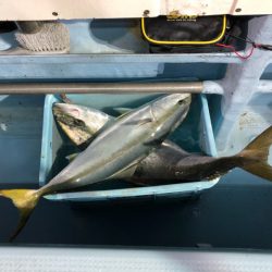 第二八坂丸 釣果