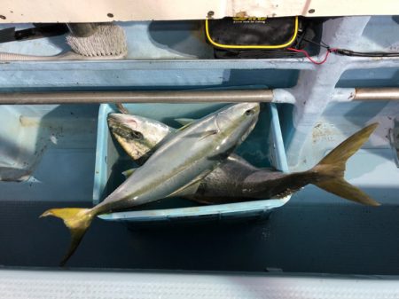 第二八坂丸 釣果