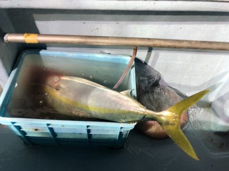 第二八坂丸 釣果