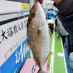 丸万釣船 釣果