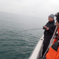 タイラバ遊漁船 ワンピース 釣果